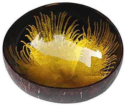 DDKYHU Bol Bol en Coquille de Noix de Coco créatif Vintage Salade de Fruits Nouilles Bol de Riz Art Vaisselle décorative Cuisine Salle à Manger Vaisselle (Jaune)