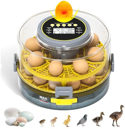 Egg Incubator for Hatching Eggs – 20-Egg Capacity with Automatic Egg Turner, Temperature & Humidity Control, LED Egg Candler, 360° Viewing for Chicken, Duck, Quail & Goose Parrot & Pigeon