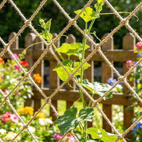 Filet de jardin en jute naturelle pour plantes grimpantes et légumes 1 m x 5 m | Fibre de jute naturelle, corde de 3 mm, maille de 15 cm, support flexible, jardinage intérieur et extérieur