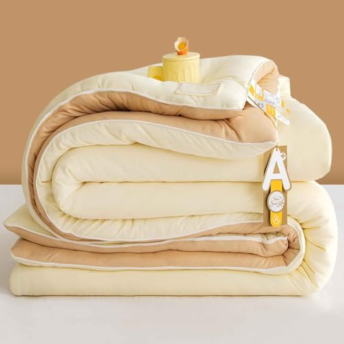 MTHGH Trapunta Invernale in Fibra di Soia, Piumone Invernale Spesso, Coperta Molto Calda E Super Morbida per 2 Persone, Trapunta in Microfibra, Piumone Trapuntato Reversibile(B,180 * 220cm/4.25kg)