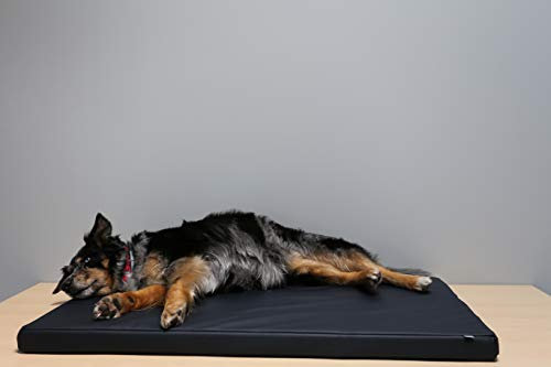 Beckers Beste Tiernahrung - Hundebett für kleine und Grosse Hunde aus Kunstleder in Anthrazit 120cm x 75cm x 5cm - Hundekissen rutschfest und waschbar - Für Auto, Hundebox, als Hundematte für Zuhause