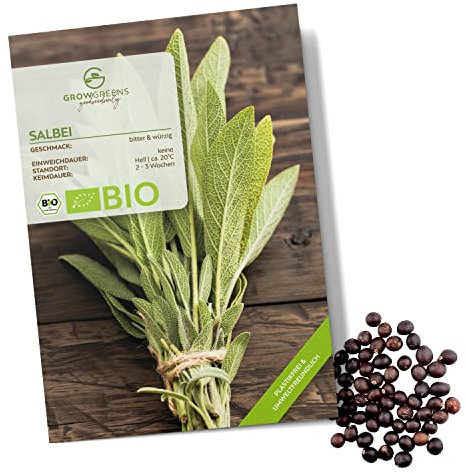 BIO Salbei Samen - Heilkräuter Saatgut aus biologischem Anbau ideal für den heimischen Kräutergarten, Balkon & Garten (30 Korn)