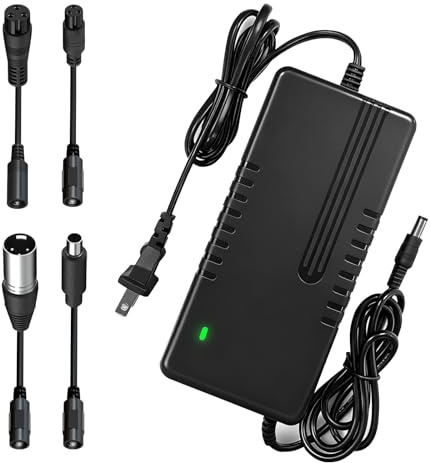 54.6V 2A Fast Electric Bike Charger for 48V Ebike Battery - Compatible for Lectric Lectric XP 2.0/3.0、Ecotric City/Beach、Evercross H5/H7