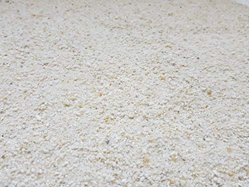 Der Naturstein Garten Weißer Beachsand – 25 kg Quarzsand 0–2 mm, mehrfach gewaschen für Aquarien, Spielplatz & Gartendekoration (Strandsand, Badesand)