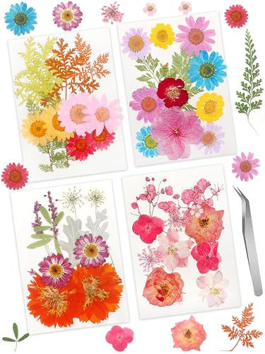 Cinvo 48 piezas de flores y hojas prensadas secas reales, pétalos secos naturales y vegetación con pinzas para velas, resina, joyas, jabón, uñas, colgante, funda de teléfono, manualidades