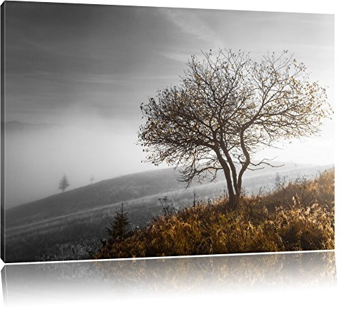 Pixxprint Einsamer Baum auf Berg B&W, Größe: 80x60cm, Leinwandbild, fertig gespannt, Wandbild, Dekoration, Kunstdruck, kein Poster