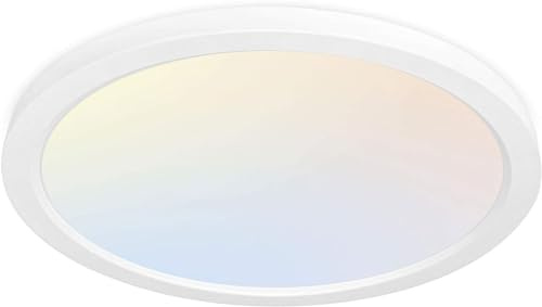 hykolity 12 Inch Selectable CCT LED Round Flat Panel Light, 24W 3000K/4000K/5000K, Edge-Lit Flush Mount Ceiling Light Fixture for Kitchen, Bedroom, Laundry and Closet Room, White