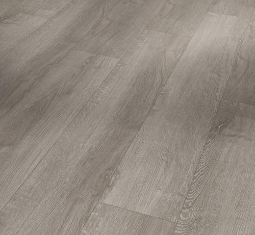 Parador Dekorboden Laminat Basic 400 Eiche lichtgrau Seidenmatte Struktur Landhausdiele 4-V-Fuge