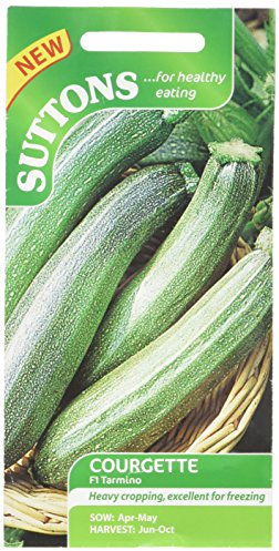 Suttons Seeds F1 Courgette Tarminofi Seeds