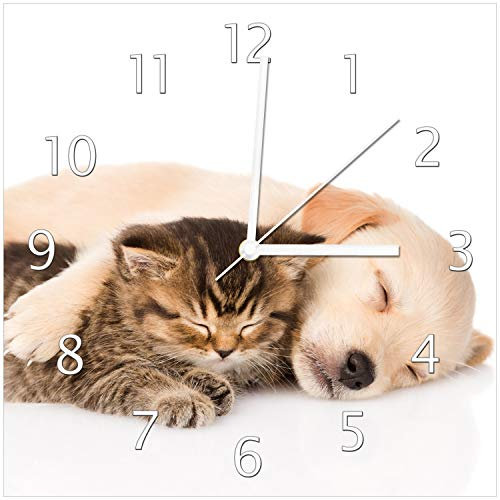 Wallario Design-Wanduhr Katze und Hund in Harmonie - Kuschelnde Tiere aus Glas, Motiv-Uhr Größe 30 x 30 cm, weiße Zeiger