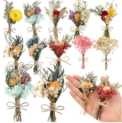10 Pcs Dried Flowers for Crafts, Mini Dried Flowers Bouquet Bulk for Vase DIY Photo Bridesmaid Gift Birthday Decor