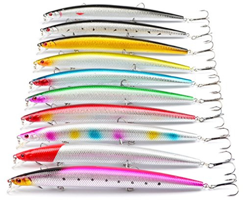 CHSEEO 10 Stück Wobbler Kunstköder Set Angel-Köder Forellenköder Angelhaken Perfekt zum Hecht Zander Angeln Barsch Forelle Dorsch Swimbait Jerkbait Angelzubehör Angelset #5