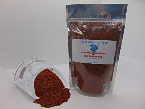 Cress Seeds for Sprouting Microgreens, 16 oz A Rich Source of Vitamins and Minerals and Health-Promoting Nutrients! COOL BEANS N SPROUTS Brand, A Small Town Family Run USA Business