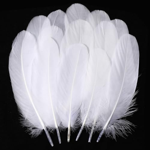 Holmgren White Large Goose Feathers Bulk for Crafting, 200pcs 5-7inch | White Feathers for DIY Crafts Dream Catchers, Angel Wings, Cosplay Accessories, Wedding Party Christmas Home Decoration