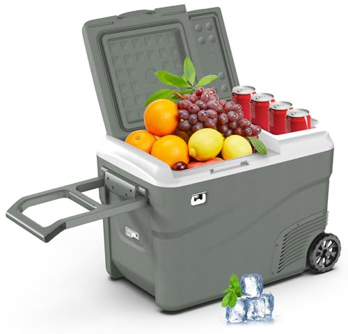 Alpicool Car Refrigerator Portable Freezer 38L, 12V Fridge Freezer Dual Zone Electric Cooler Box for Car 12V/24V 100-240V Portable Fridge for Camping Trip(-20℃-20℃)