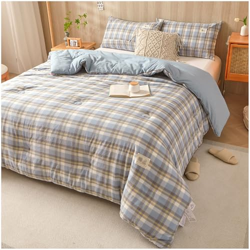 ZTGL Trapunta Invernale Matrimoniale 220x240 cm Imbottita 100% Cotone Piumone Caldo Pesante Cotone Lavato Tinto in Filo Double Face,Grigio,220x240cm(3kg)