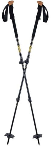 K2