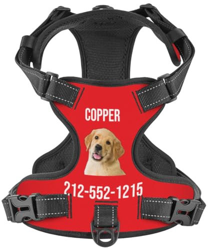 WINKEEY Hundegeschirr Personalisiert Sicherheitsgeschirr Welpengeschirr Brustgeschirr Mit Namen Telefonnummer Anti Zug, atmungsaktiv, reflektierend Für Kleine Mittelgroße und Große Hunde