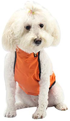 BT Bear Hundegeschirr, Brust- und Bauchschutz, Haustierweste, Geschirr, atmungsaktiv, wasserdicht, für Hunde und Katzen, Corgi (Medium, Orange)