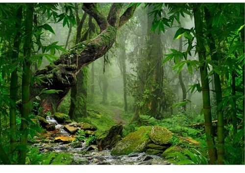 Jungle Forest Photography Backdrop Rainforest Huge Trees Natural Landscape Background Outdoorsy Camping Theme Party Backdrops Spring Mysterious Jungle Stream Background Adult Studio Props 15x10ft