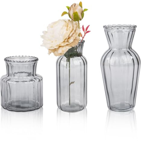 3 Stück kleine Glasvasen Mini Vasen für Tischdeko kleine Blumenvasen Set, Grau