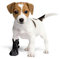 Schutz- und Erholungssocken, atmungsaktiv, für Hunde, Katzen, 100 % Softshell – chirurgische Schutzbezüge gegen Verletzungen, Stop Lecken (3 m) – 6 cm (2,4 Zoll) H – 12 cm, schwarz)
