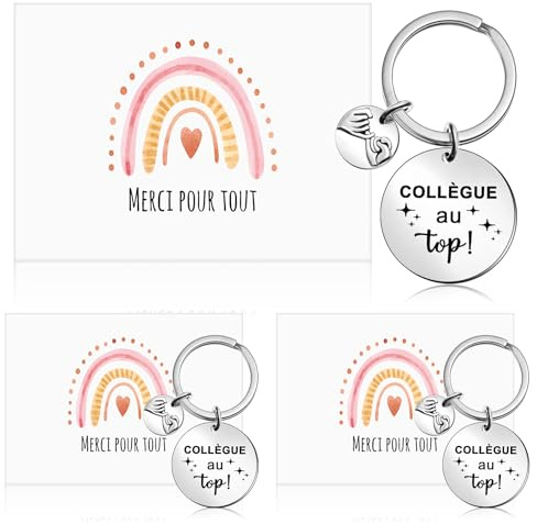 Faccito 3 Sets Cadeau pour Collègue 3 Collègue Porte-Clés 3 Carte de Remerciement Arc-En-Ciel 3 Enveloppes Merci pour Tout Collègue de Travail Cadeau Retraite pour Meilleure Amie Femme Homme Utile