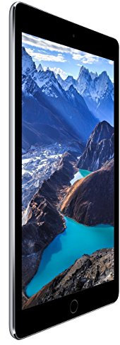 Apple iPad Air 2 64GB 4G - Space Grey - Unlocked (Renewed)