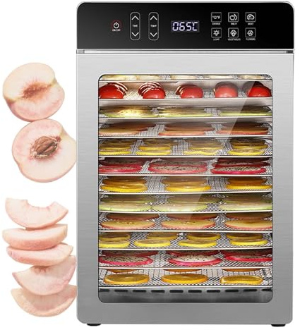 QFGain Professioneller DöRrautomat Mit Touchscreen – 6 Voreingestellte Programme, 360°-HeißLuftzirkulation, 29 X 29 cm GroßEr EdelstahlbehäLter FüR GleichmäßIges Trocknen Von GemüSe, Fisch 12Tray
