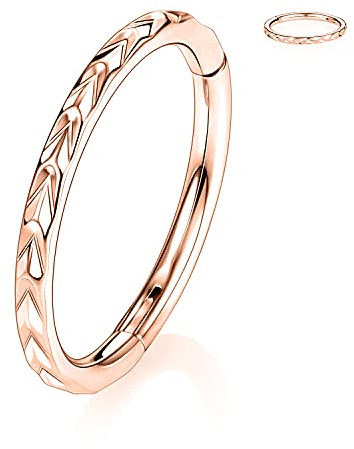 AROWRO 316L Chirurgenstahl Klappnasenringe Hoop 20G 18G 16G Nahtlose Piercingringe für Nase Septum Knorpel Helix Tragus Conch Rook Daith Lobe Durchmesser 6mm bis 10mm 1Stk