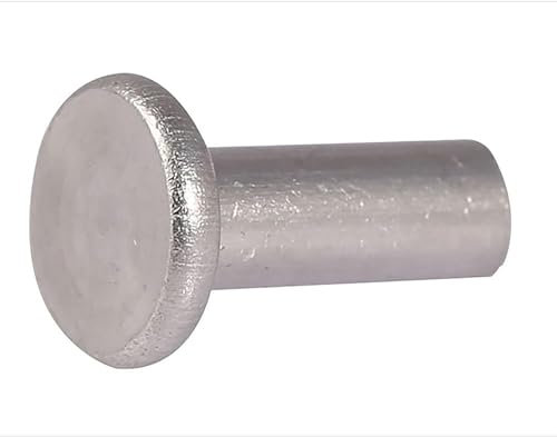 BALAFO Hohlnieten,Halbhohlnieten, Aluminum Flat Round Head Solid Rivets M4 x 4mm Diameter Length Metric Smooth Cylinder Percussion Fasteners Al Aluminium (100pcs) (Size : M4 x 20mm)