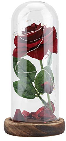 Cocoarm Ewige Rose mit LED-Lichtern, konservierte Rose im Glas, rosa Blume mit Glasdeckel, Holzsockel, für den Hochzeitstag Valentinstag (groß, rot)