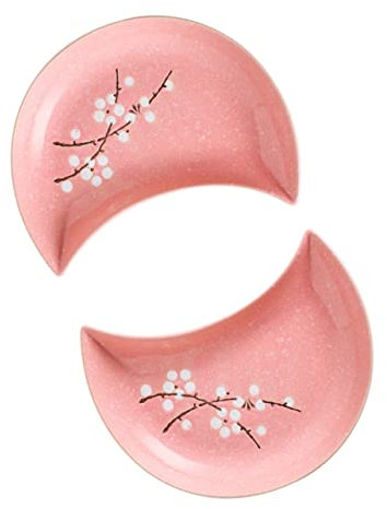 Cabilock 2Pezzi Piatti Sushi Design Piatti per Frutta e Dessert Vassoi da Eleganti per Ristoranti e Cene