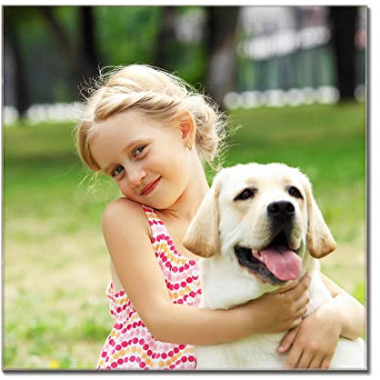 banjado® Glas Magnettafel mit 4 Magneten - Magnetwand 60x60cm mit Motiv Wunschmotiv - Memoboard/Pinnwand magnetisch, beschreibbar, perfekt für die Küche - Magnetboard auch als Wandbild/Wandtafel