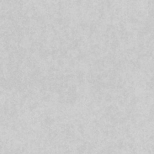 Rasch Carta da parati 285123 – Carta da parati in tinta unita con struttura in intonaco fine, colore grigio, 10,05 m x 0,53 m (lunghezza x larghezza)