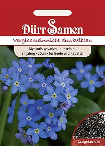 Dürr-Samen - Vergissmeinnicht Blau einjährig 20 cm Saatgut