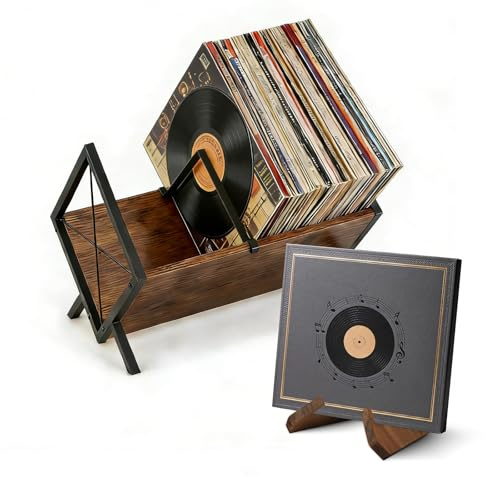BigKing Set di Porta Vinili, Supporto per Dischi in Vinile e Presentazione, con Divisorio Regolabile, Può Contenere da 80 a 100 LP, Facile da Montare, Metallo e Legno, Organizzatore per CD