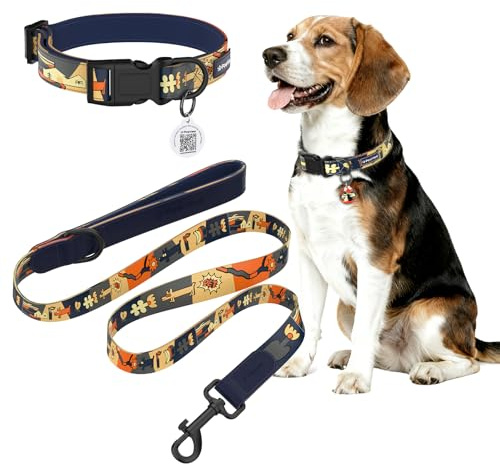PawView Nachthimmels Stil Personalisierte Hundeleine und Halsband Set Verstellbar, mit Hundemarke qr Code, Passend für Welpen und kleine Hunde S (Hals: 28 –43 cm, Leine: 1.5 m)