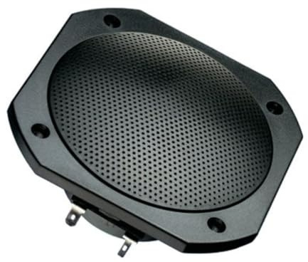 Visaton 2101 Lautsprecher FRS 10 WP 8 Ohm schwarz, 8 S