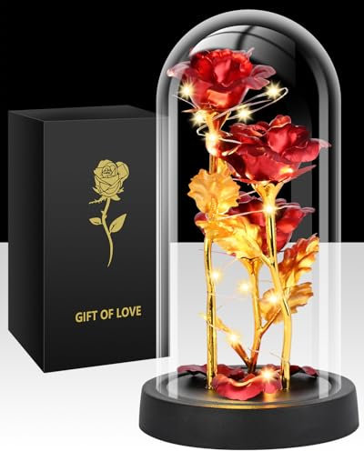 Tayfeim Mothers Day Mom Gifts for Women, Womens Gift for Birthday Gifts for Women Mom Wife Girlfriend, Light Up Rose in A Glass Dome, Rose Gifts for Valentines, Mothers Day, Womens Day (Red)
