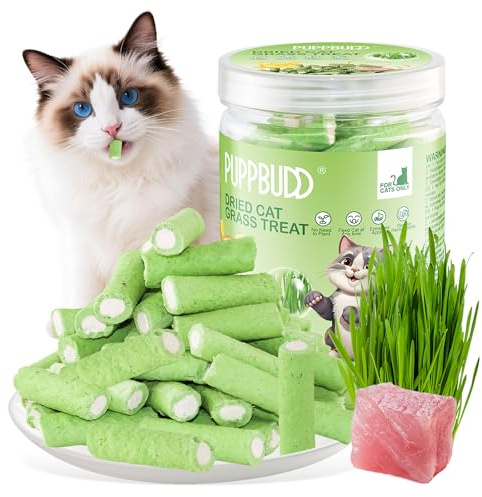 100g Bastoncini di Erba for Gatti, Snack per Gatti Erba da Gatto, Giocattolo Dentale per Gatto, Liofilizzato con Erba Gatta per la Pulizia dei Denti