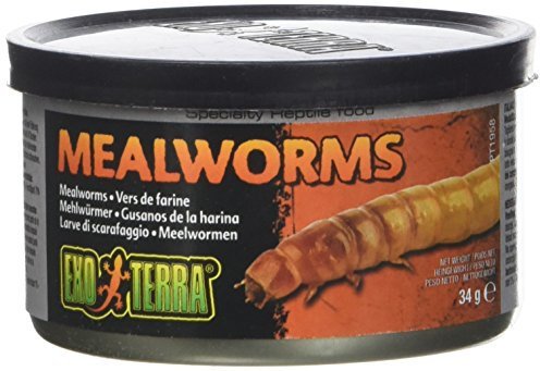 Exo Terra kokta mjölmaskar från burken, fodermedel för reptiler, 34 g