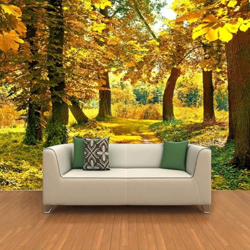 XLMING Warm Cosy Beautiful Park Autumn Yellow Woods 3D Wallpaper Silky Texture Home Study Office Grey Dining Room Sofa Bedroom Living Room TV Backdrop-350cm×256cm