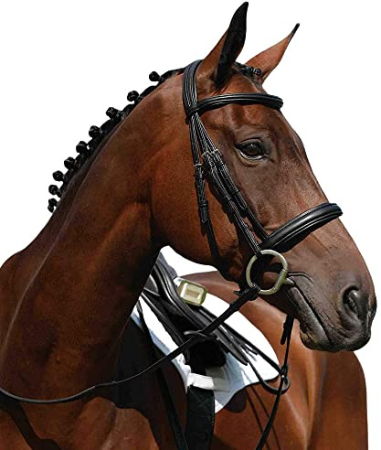 Collegiate - Brida cabezada acolchada Syntovia+ para caballos (Full) (Negro)