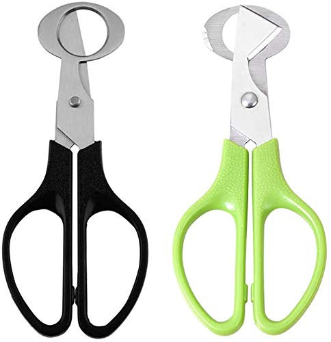 LATRAT 2 pieces quail eggs scissors, stainless steel quail egg scissors, pigeon egg cracker, opener, cigar cutter tool for home kitchen, stainless steel egg shell opener for home
