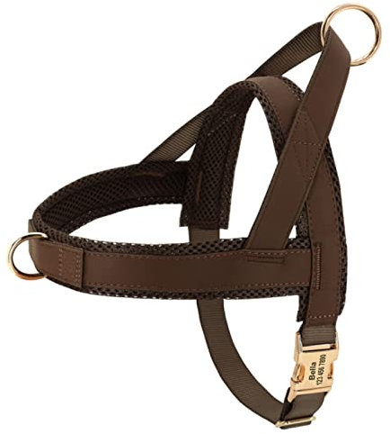 PUYYDS Personalisiertes Hundegeschirr, kein Ziehen, Hundegeschirr, verstellbar, Pet Walking Trainingsweste für mittelgroße Hunde, Bulldogge