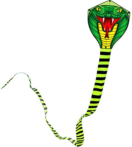 Touch the sky Aquilone Serpente Lungo 8 Metri per Bambini e Adulti, Facile da Volare, Design Della Struttura Unico, Eccellenti giocattoli all'aperto, Adatto ai Principianti.
