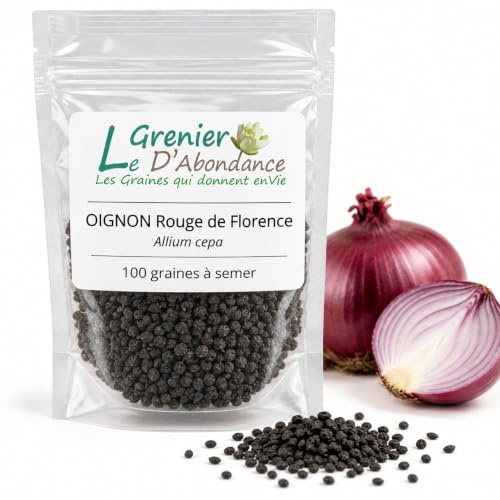 100 graines à semer - Le Grenier d'Abondance - OIGNON Rouge de Florence - Allium stam
