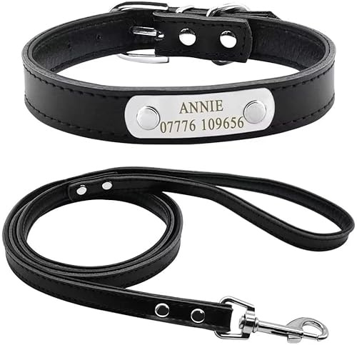 Didog Hundehalsband und Leine, weiches Leder, gepolstert, mit personalisiertem Namensschild, passend für kleine und mittelgroße Hunde, Schwarz, Größe S