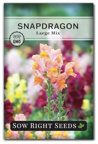 Sow Right Seeds - Large Mixed Snapdragon Flower Seeds for Planting - Non-GMO Heirloom Packet With Instructions to Grow - Fragrant Annual Flower Spikes in a Mix of Colors - Long-Lasting Blooms